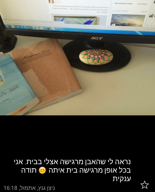 אבן לאוירה נעימה במשרד ולספיגת הקרינה מהמחשב