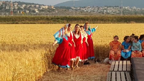 שבולת בשדה 3