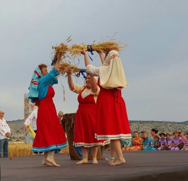 שיבולת בשדה