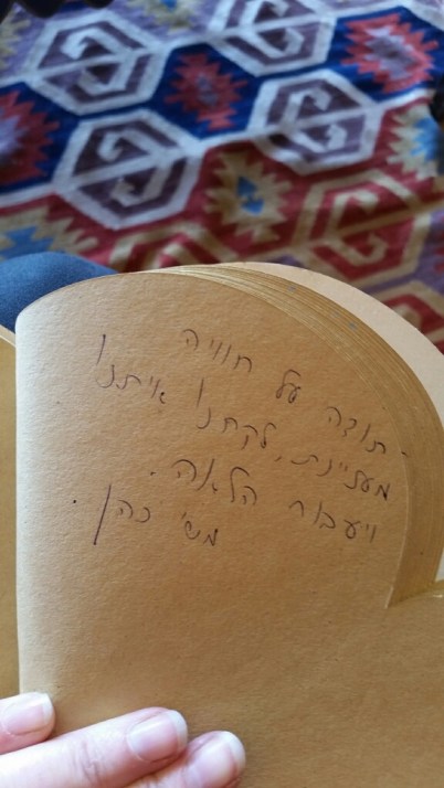 משוב 2- יערות הכרמל סוכות