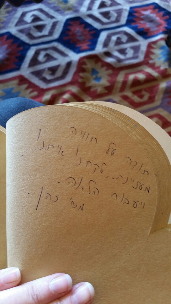 משוב 2- יערות הכרמל סוכות