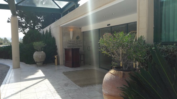 יערות הכרמל - טו בשבט 2017